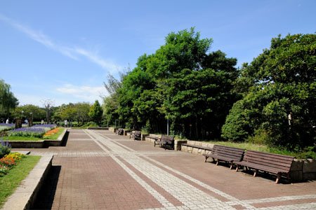 藤沢市立長久保公園
